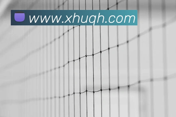 扫码下载 App